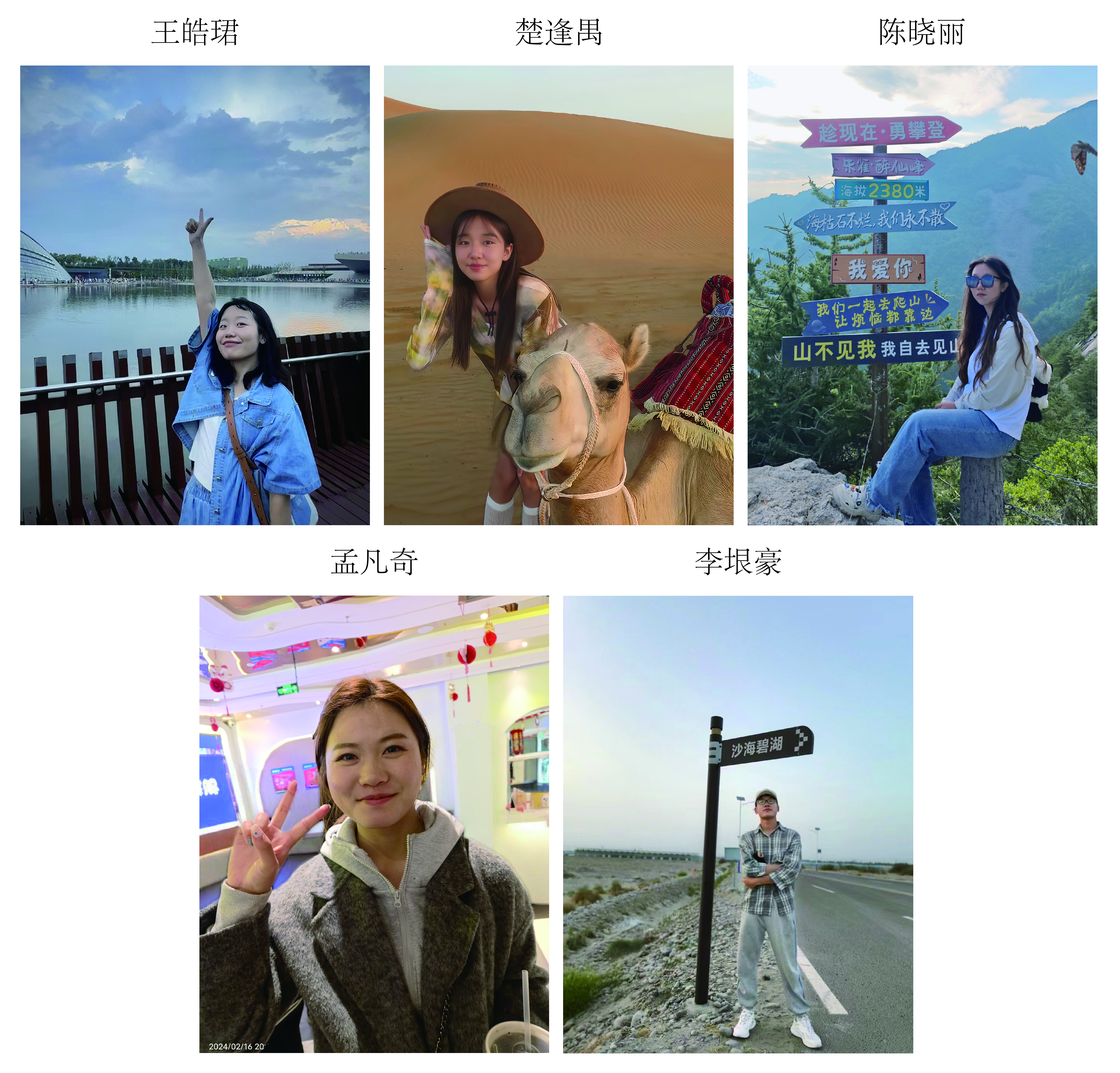 网站.jpg