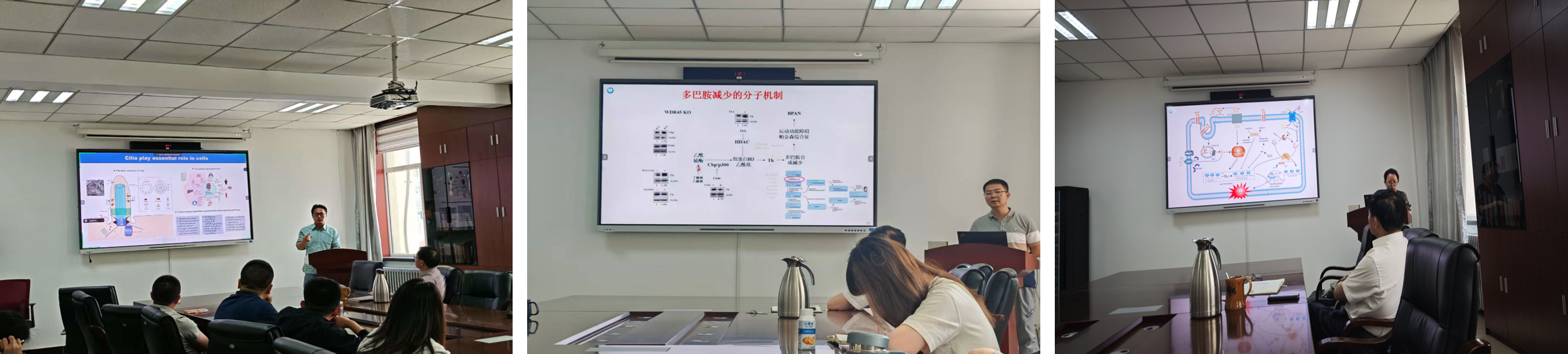 专题二.png